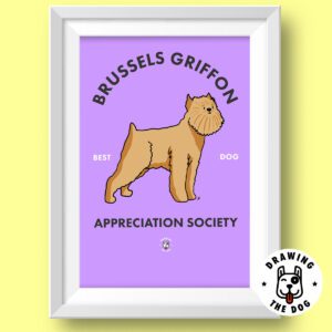 Brussels Griffon Featured