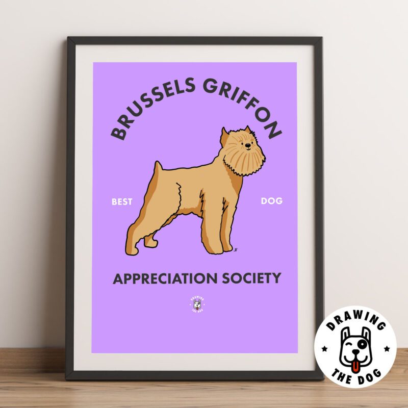 Brussels Griffon Framed