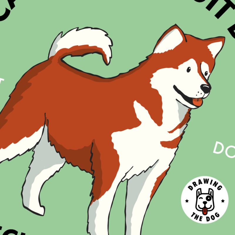 Canadian Inuit Dog Wall Art Closeup