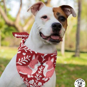 Corgi Bandana On White Brown Dog