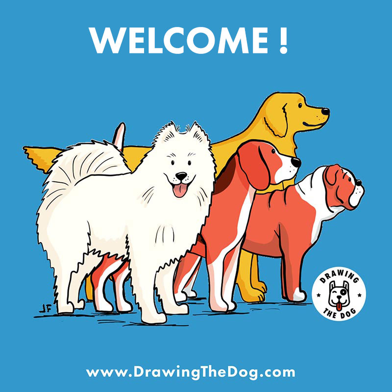 Drawing The Dog Newsletter Welcome Dogs
