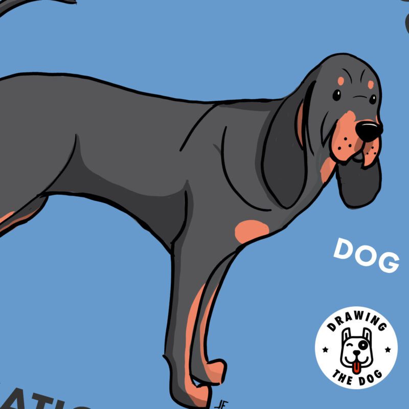 Final Print With NO Border Template VerticalCloseup