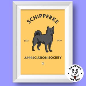 Schipperke Dog Featured