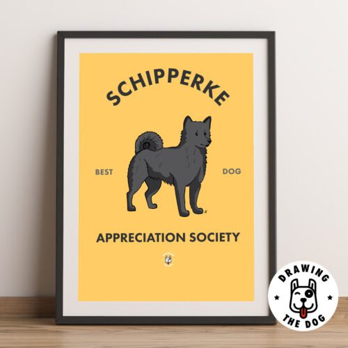 Schipperke Dog Framed