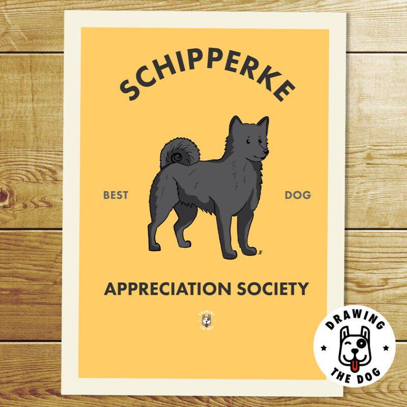Schipperke Dog Print