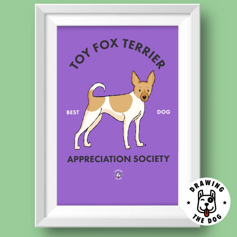 Toy Fox Terrier Featured