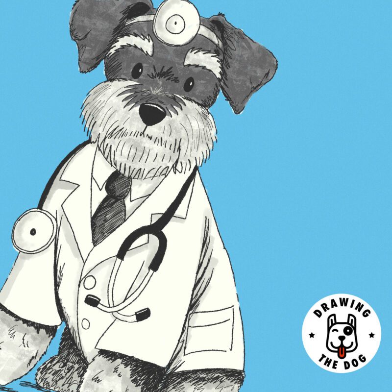 Dr Mini Schnauzer Art Closeup