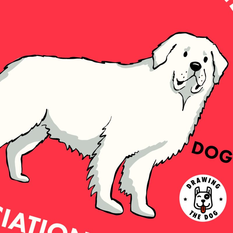 Great Pyrenees Art Closeup