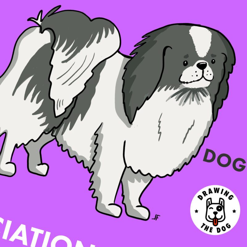 Japanese Chin Art Closeup