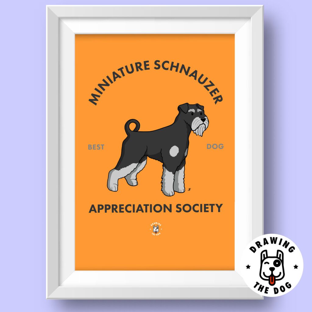 Mini Schnauzer Black And Silver Art Featured