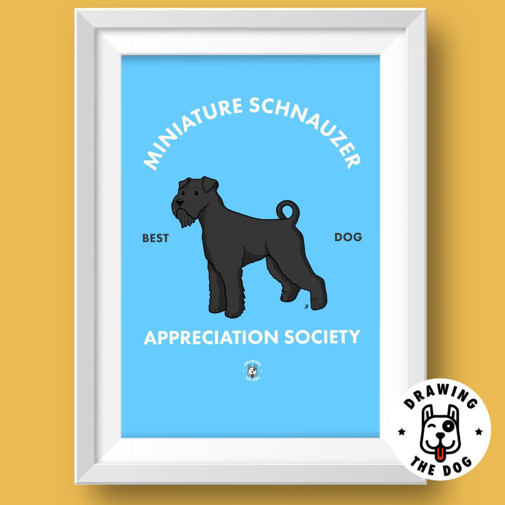 Mini Schnauzer Black Art Featured