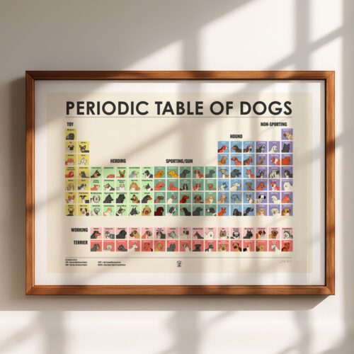 Periodic Table Of Dogs Wall Art For Dog Lovers Drawing The Dog