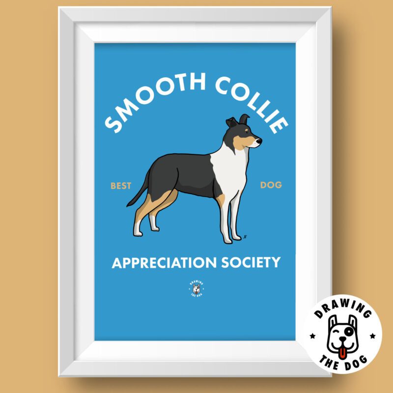 Smooth Collie Art Featured