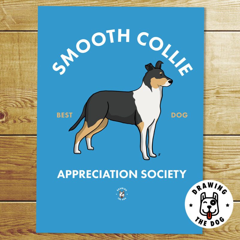Smooth Collie Art Print