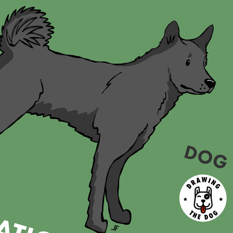Black Norwegian Elkhound Appreciation Society Art Print