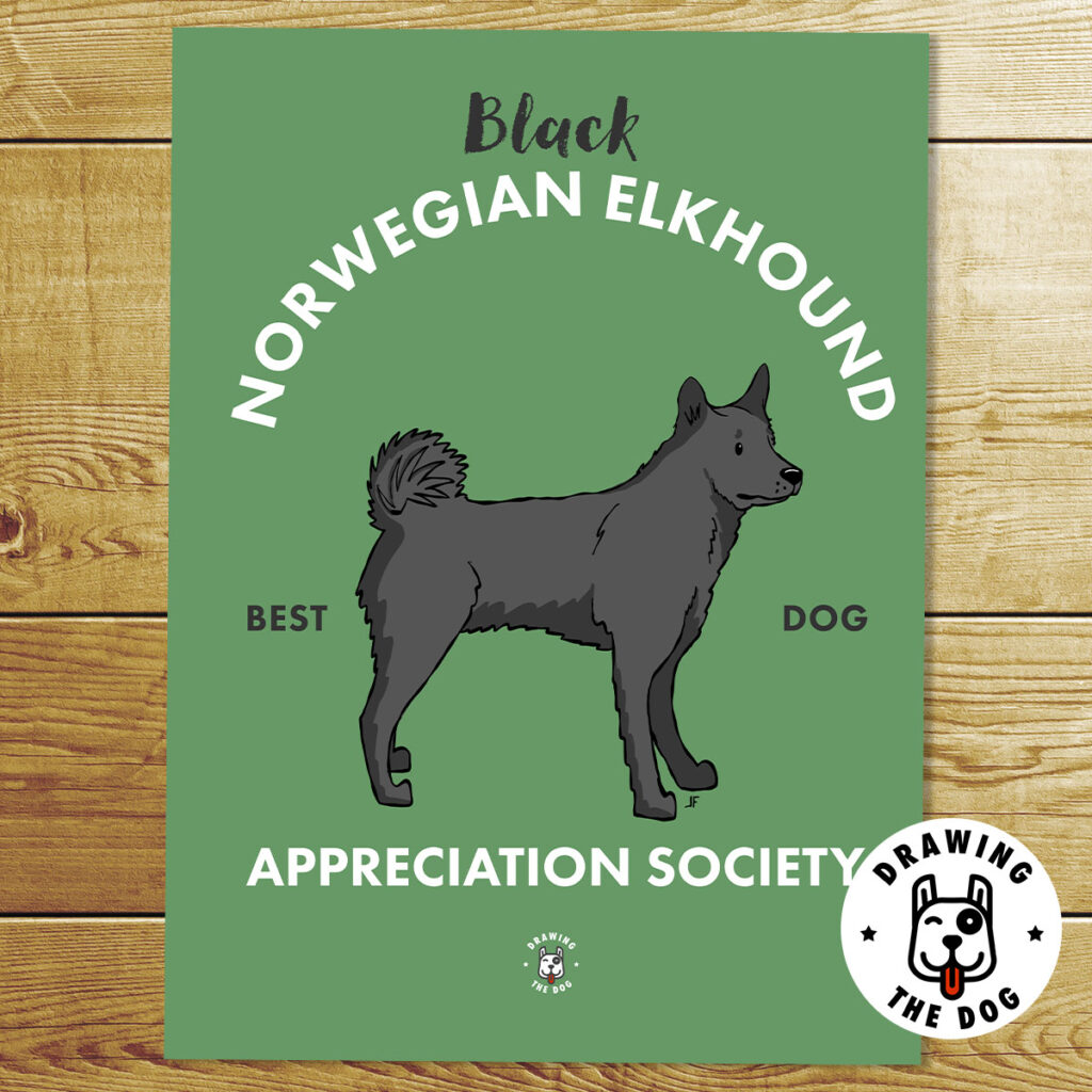Black Norwegian Elkhound Art Print
