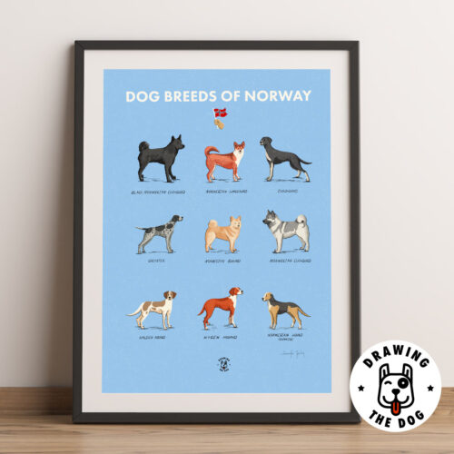 Dog Breeds Of Norway Art Framed Dog Breeds Of Norway Art Framed