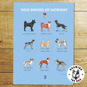 Dog Breeds Of Norway Art Print