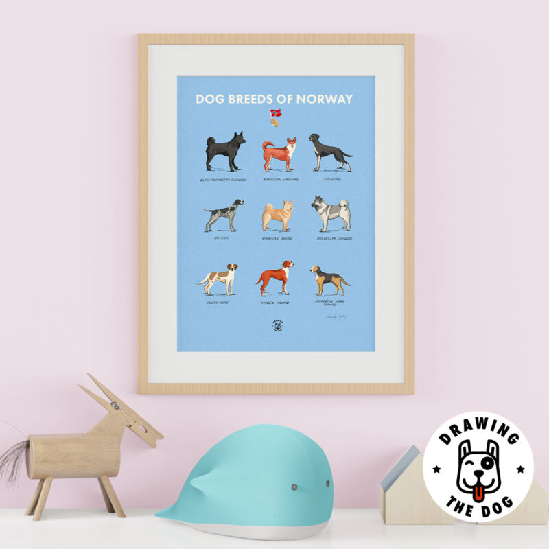 Dog Breeds Of Norway Kids Decor Dog Breeds Of Norway Kids Decor