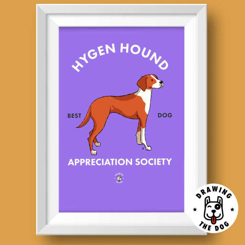 Hygen Hound Norway Art Featured