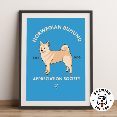 Norwegian Buhund Norway Art Framed Norwegian Buhund Norway Art Framed