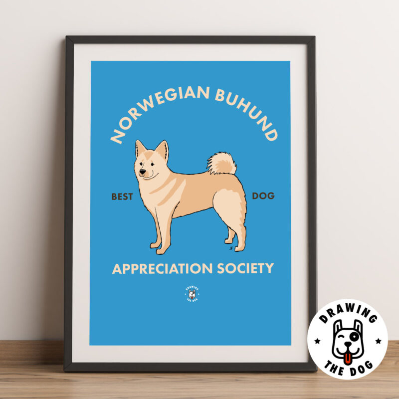 Norwegian Buhund Norway Art Framed Norwegian Buhund Norway Art Framed