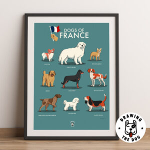 Dogs of France Art Print - Drawing The Dog - Black Frame