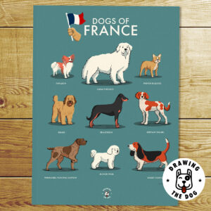French Dogs Art Print