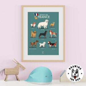 French Dogs Kids Decor