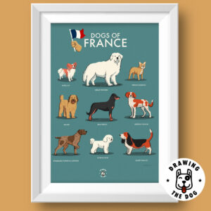 Dogs of France Art Print - Drawing The Dog - White Frame