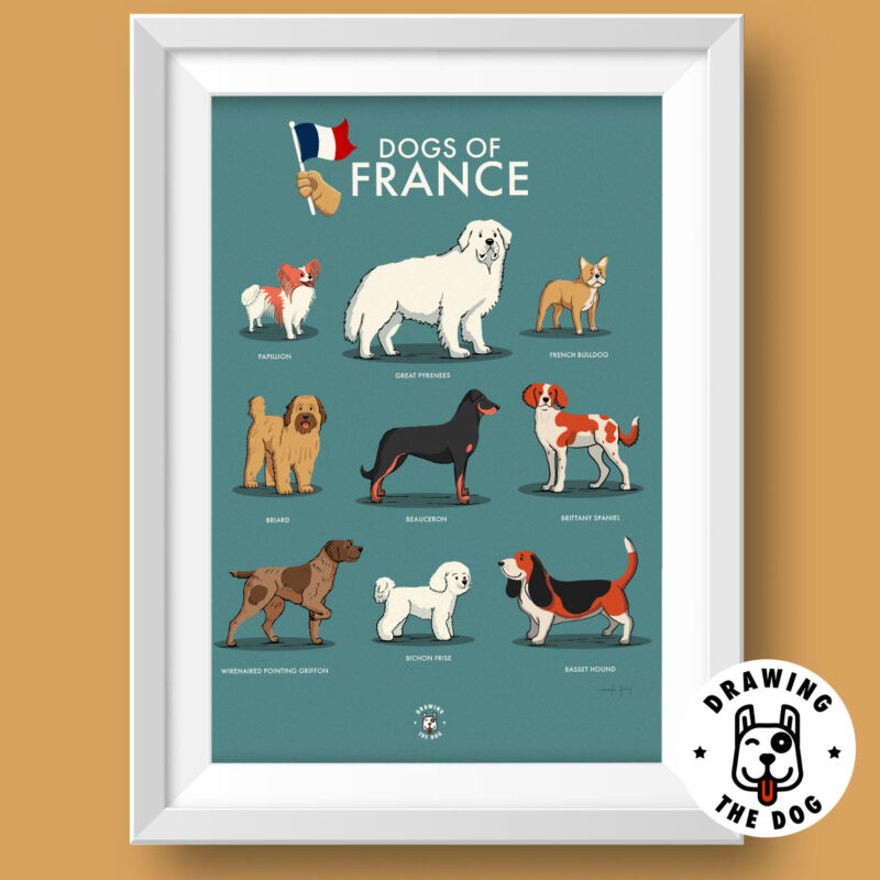 Dogs of France Art Print - Drawing The Dog - White Frame